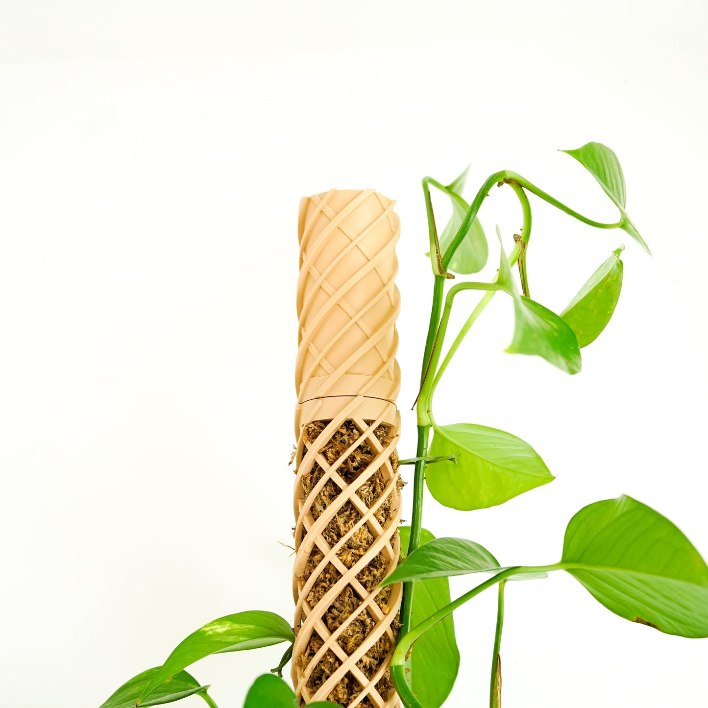 Die Gießhilfe für den Helix Moosstab sorgt für präzise Bewässerung ohne Verschütten. Das langsame Tropfsystem befeuchtet den Moosstab gleichmäßig. Ideal für Monstera, Efeutute und Kletterpflanzen. Für eine saubere und nachhaltige Pflanzenpflege.