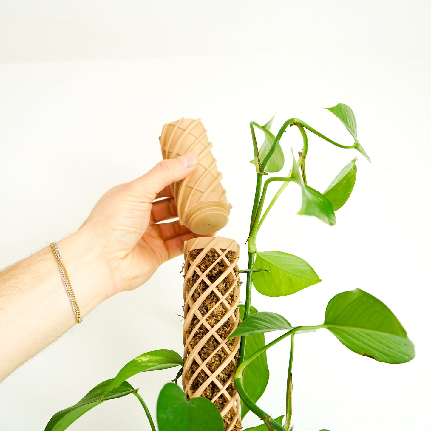 Die Gießhilfe für den Helix Moosstab sorgt für präzise Bewässerung ohne Verschütten. Das langsame Tropfsystem befeuchtet den Moosstab gleichmäßig. Ideal für Monstera, Efeutute und Kletterpflanzen. Für eine saubere und nachhaltige Pflanzenpflege.