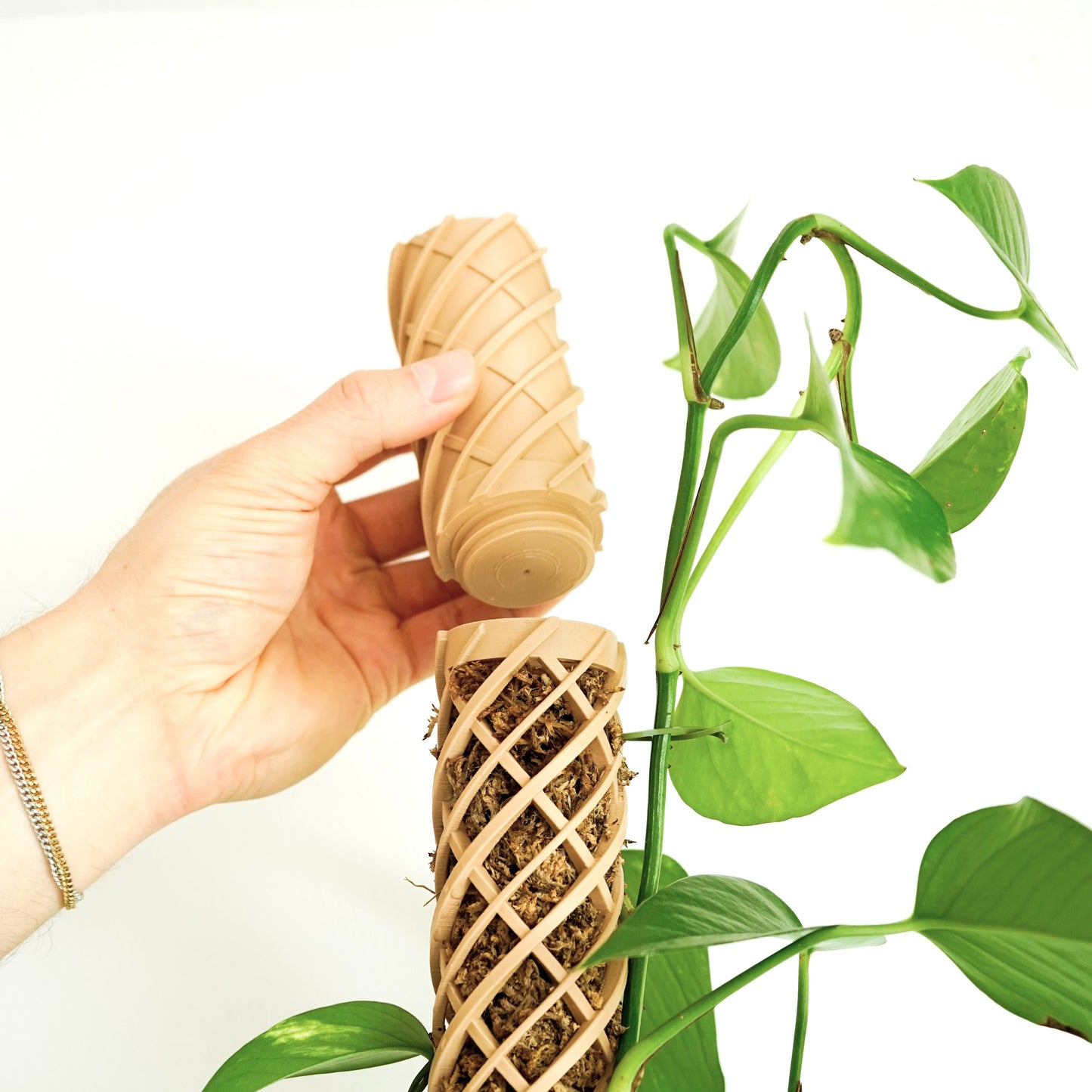 Die Gießhilfe für den Helix Moosstab sorgt für präzise Bewässerung ohne Verschütten. Das langsame Tropfsystem befeuchtet den Moosstab gleichmäßig. Ideal für Monstera, Efeutute und Kletterpflanzen. Für eine saubere und nachhaltige Pflanzenpflege.