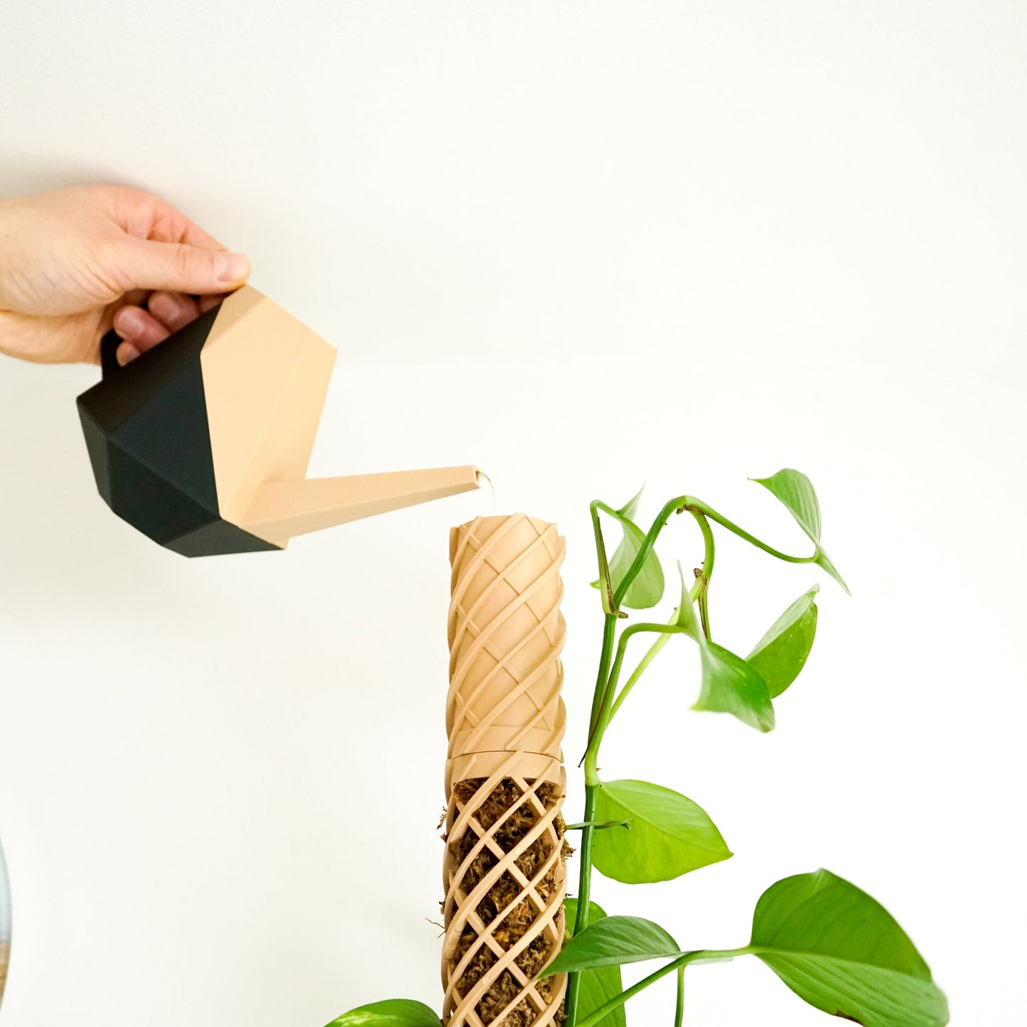 Die Gießhilfe für den Helix Moosstab sorgt für präzise Bewässerung ohne Verschütten. Das langsame Tropfsystem befeuchtet den Moosstab gleichmäßig. Ideal für Monstera, Efeutute und Kletterpflanzen. Für eine saubere und nachhaltige Pflanzenpflege.
