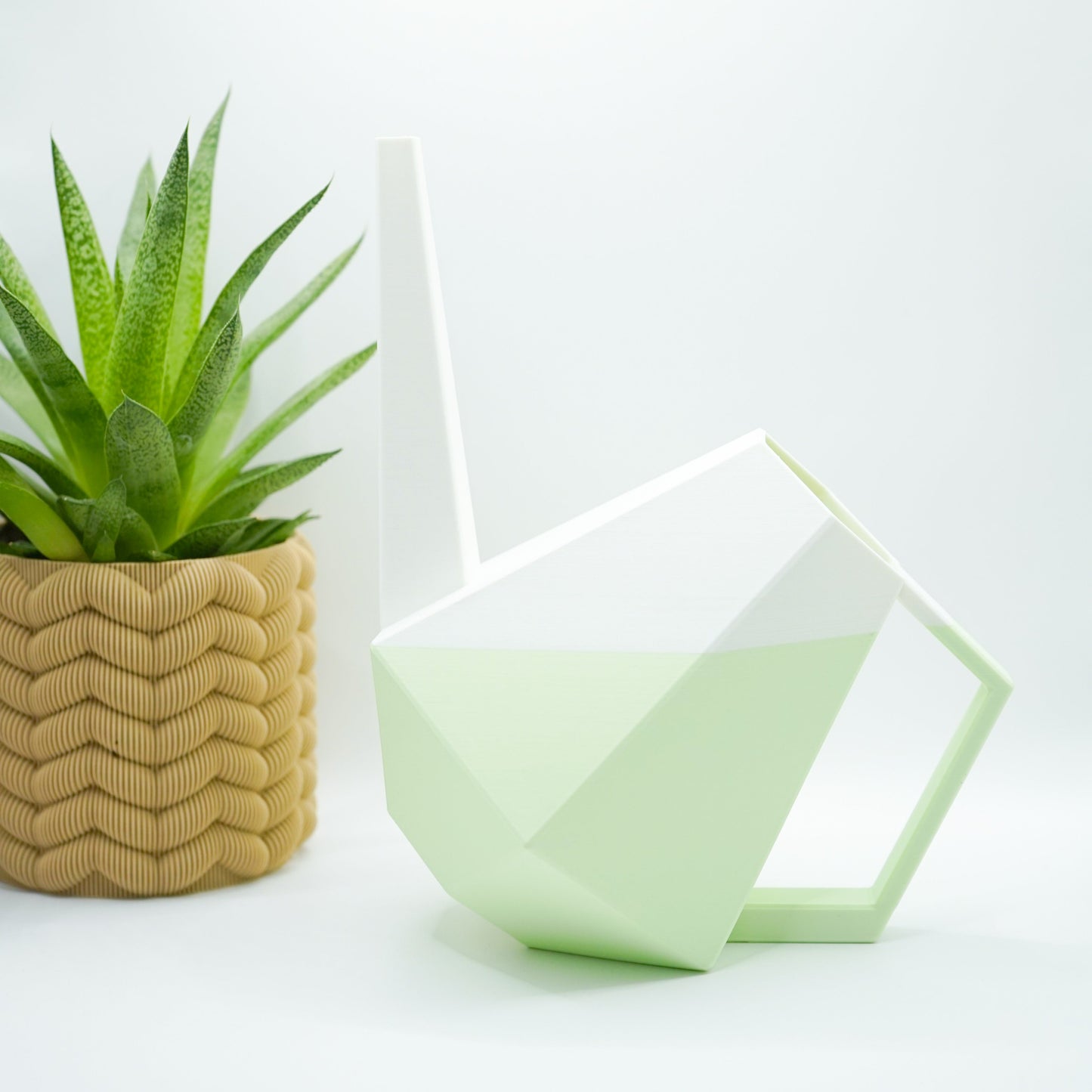 Die zweifarbige Poly Gießkanne ist ein dekorativer Hingucker für deine Zimmerpflanzen. Die Designer Gießkanne wird aus Biokunsstoff und mit dem 3D-Druckverfahren hergestellt. Sie eignet sich perfekt für die Bewässerung und Pflege von Zimmerpflanzen.