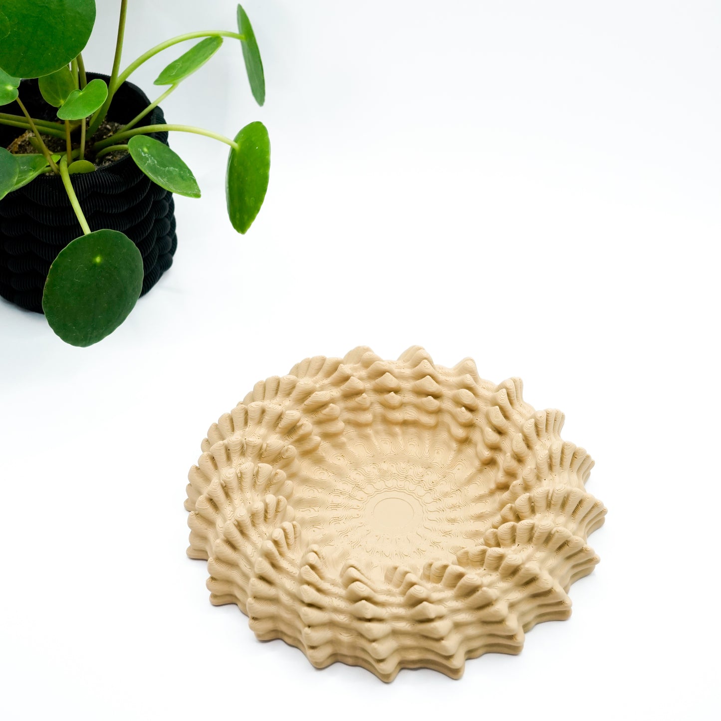 Heliopra Schale in Korallen Design