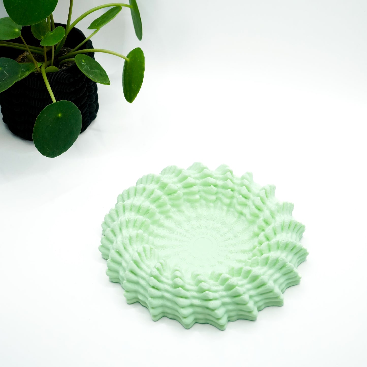 Heliopra Schale in Korallen Design