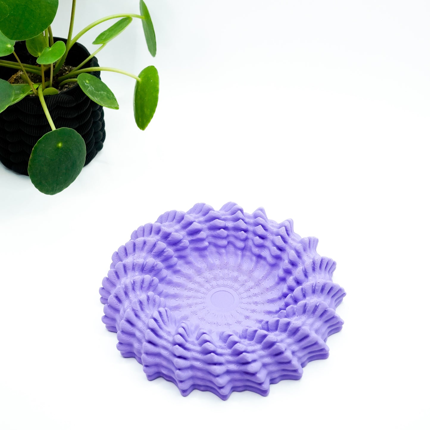 Heliopra Schale in Korallen Design