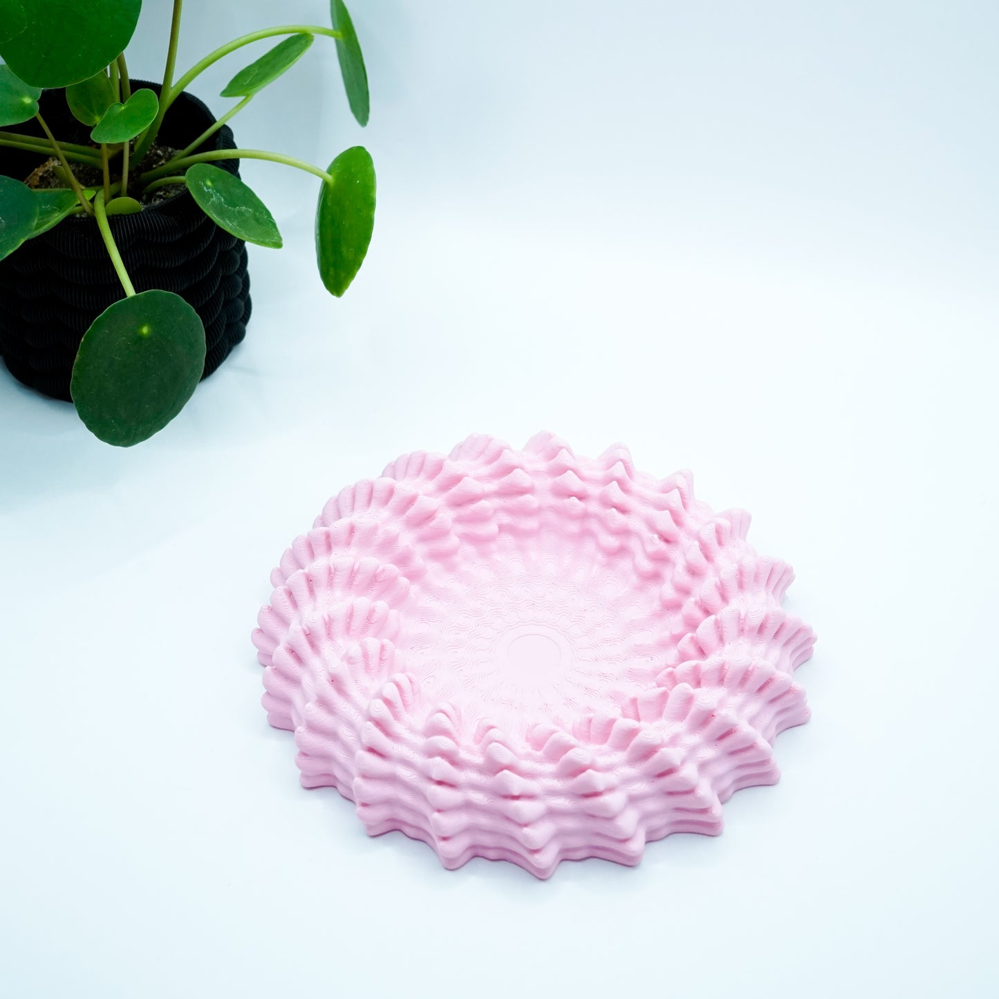 Heliopra Schale in Korallen Design