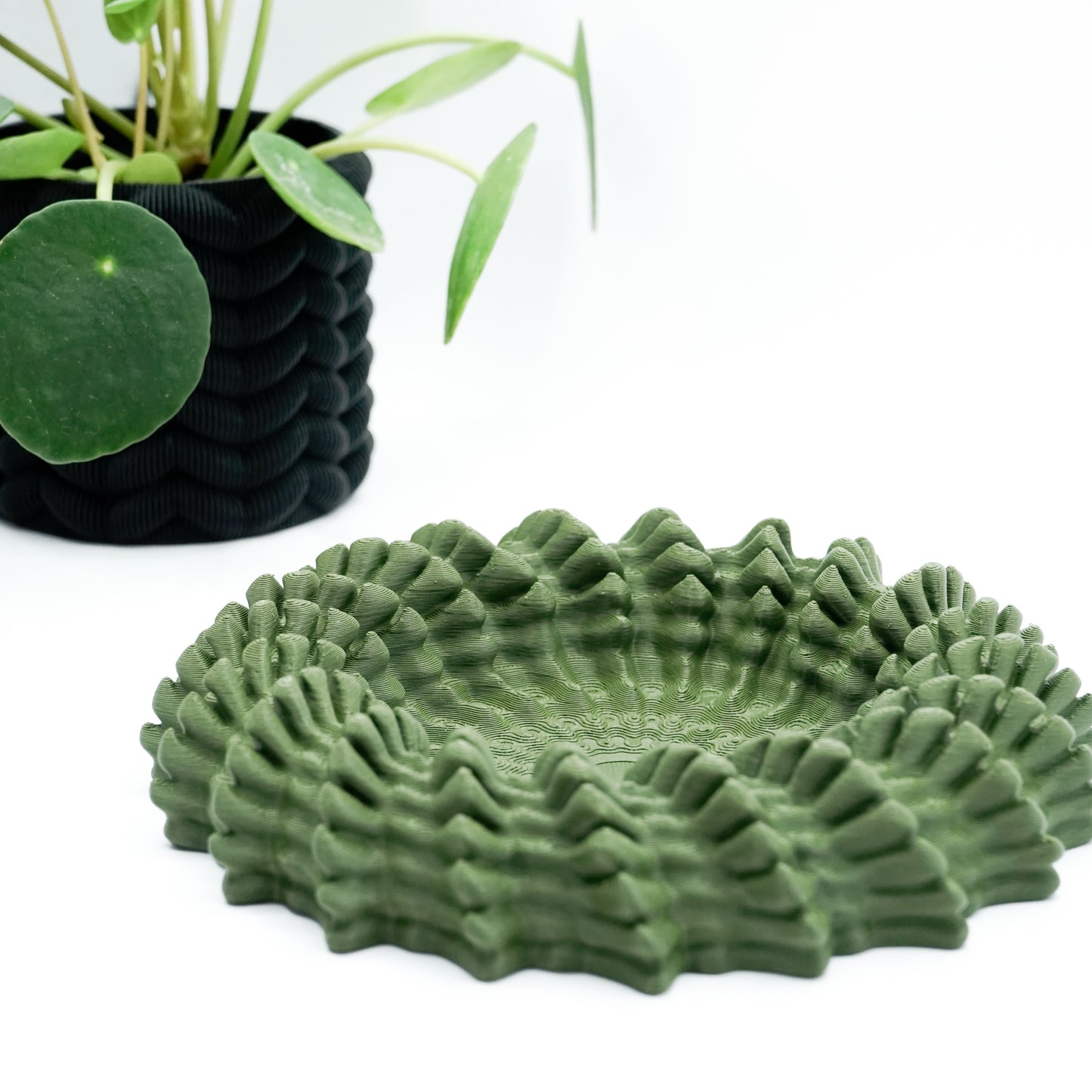 Heliopra Schale in Korallen Design