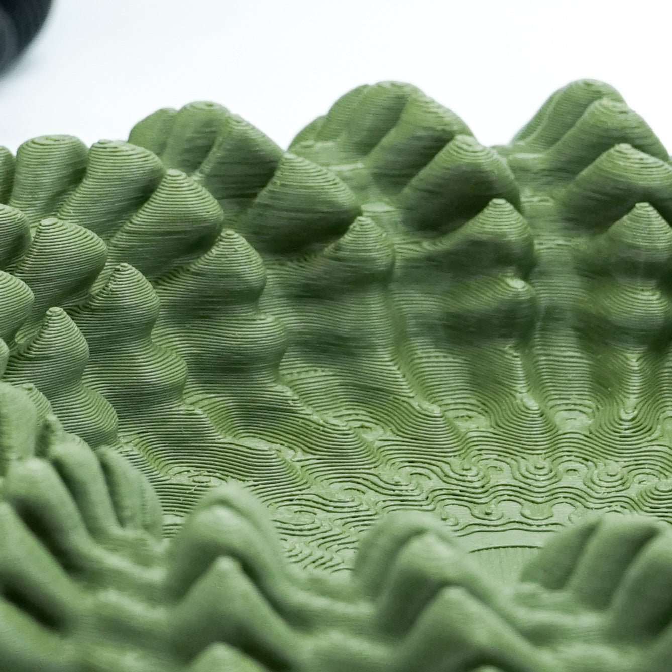 Heliopora Schale in Korallen Design MeltingMatter