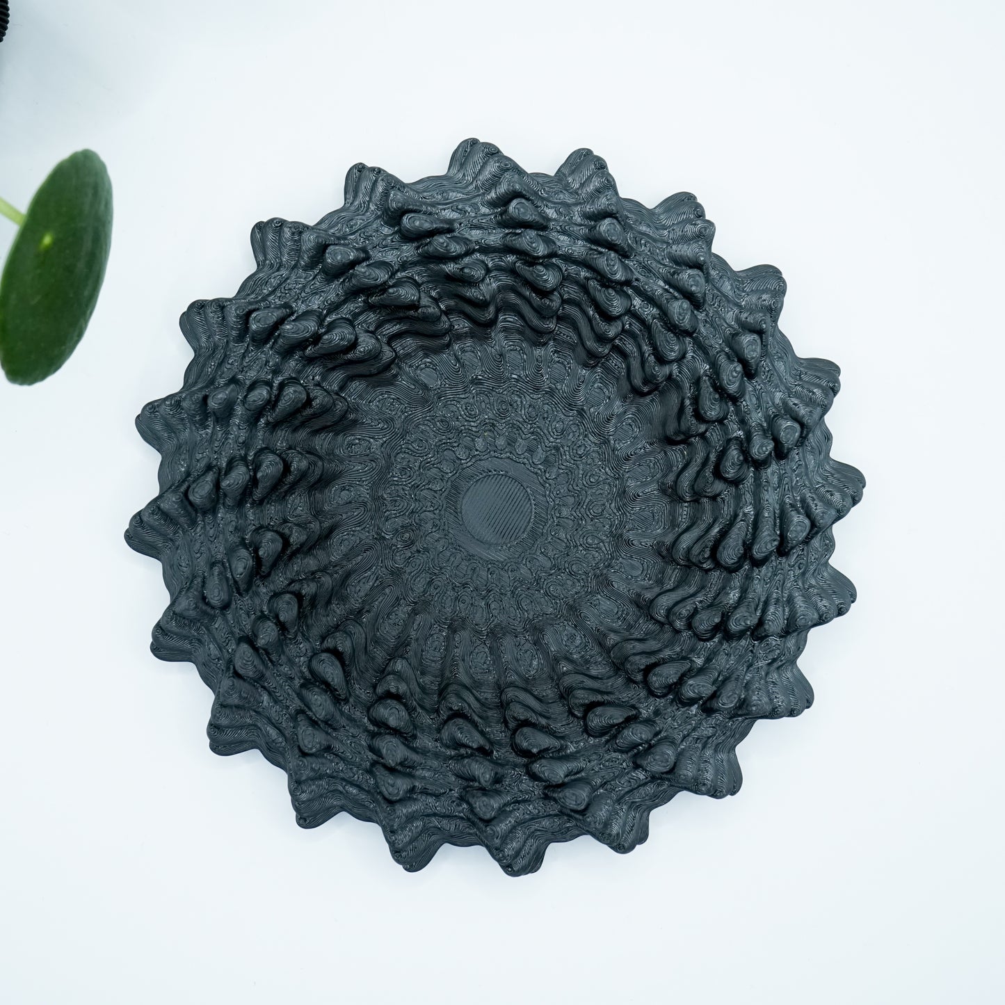 Heliopra Schale in Korallen Design