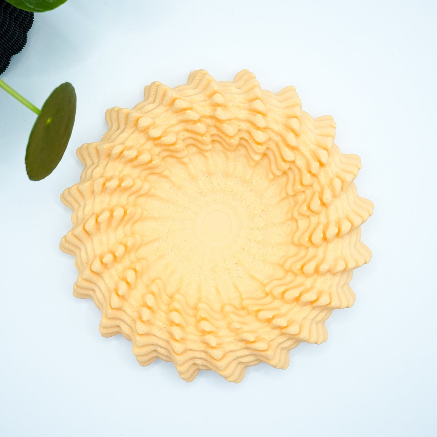Heliopra Schale in Korallen Design