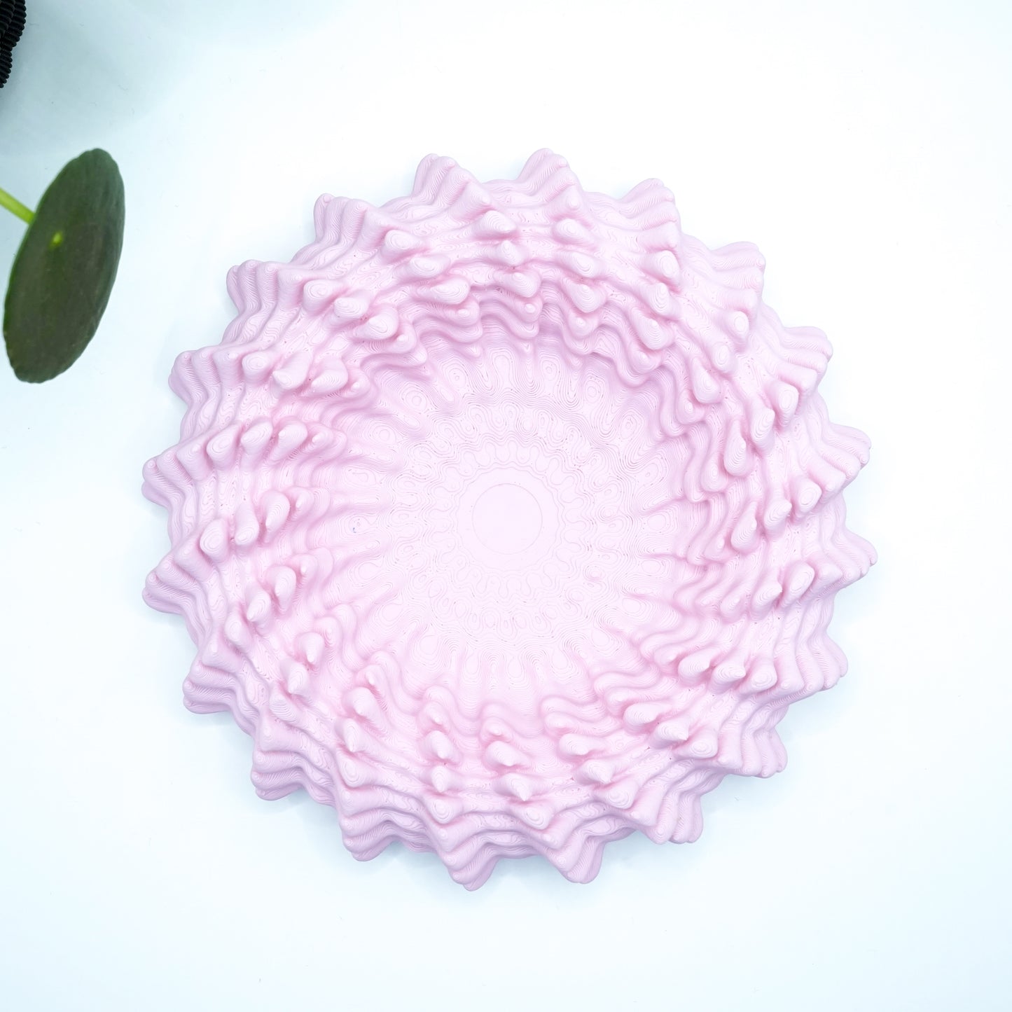 Heliopra Schale in Korallen Design