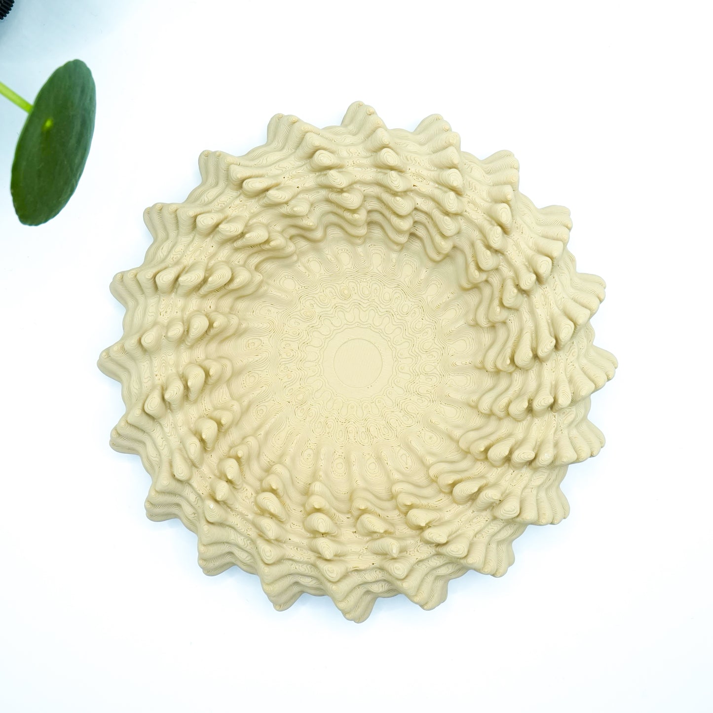 Heliopra Schale in Korallen Design