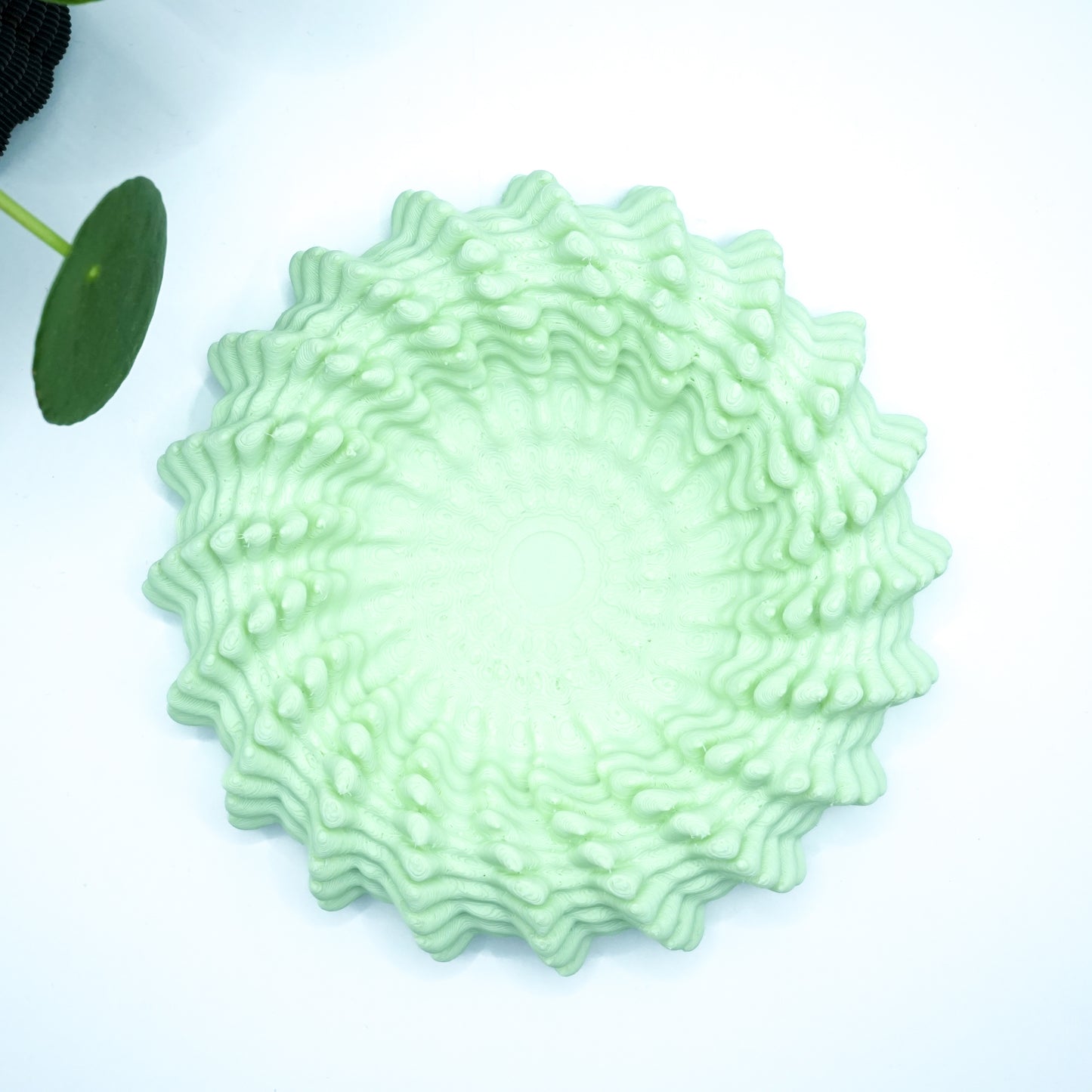 Heliopra Schale in Korallen Design