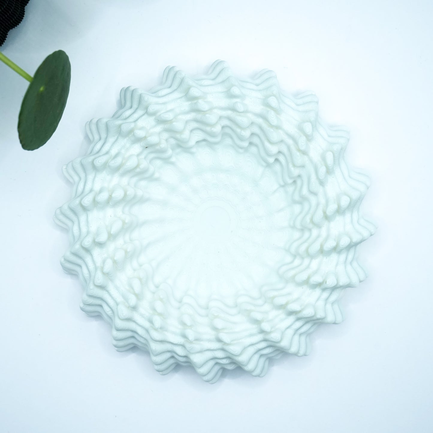 Heliopra Schale in Korallen Design