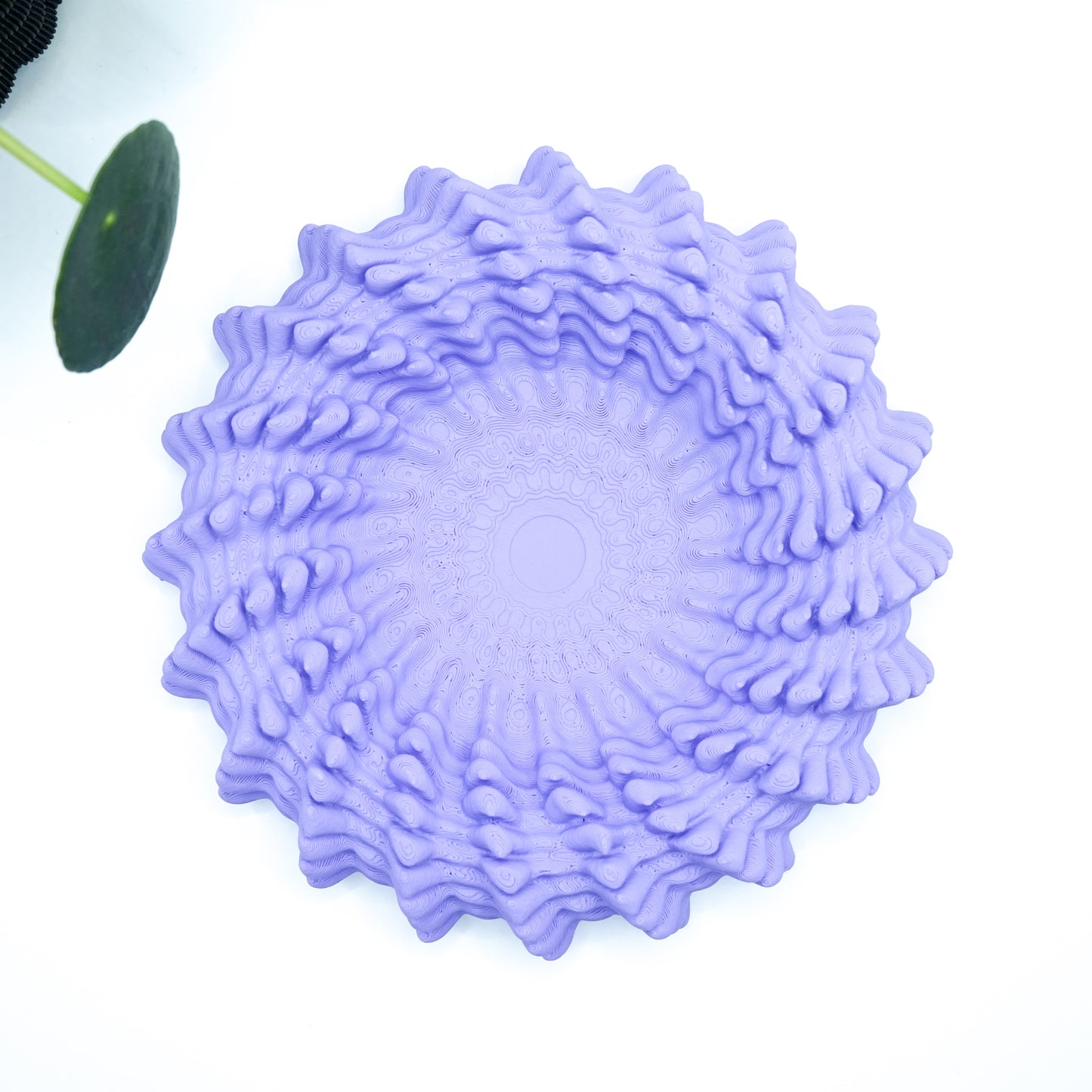 Heliopora Schale in Korallen Design MeltingMatter