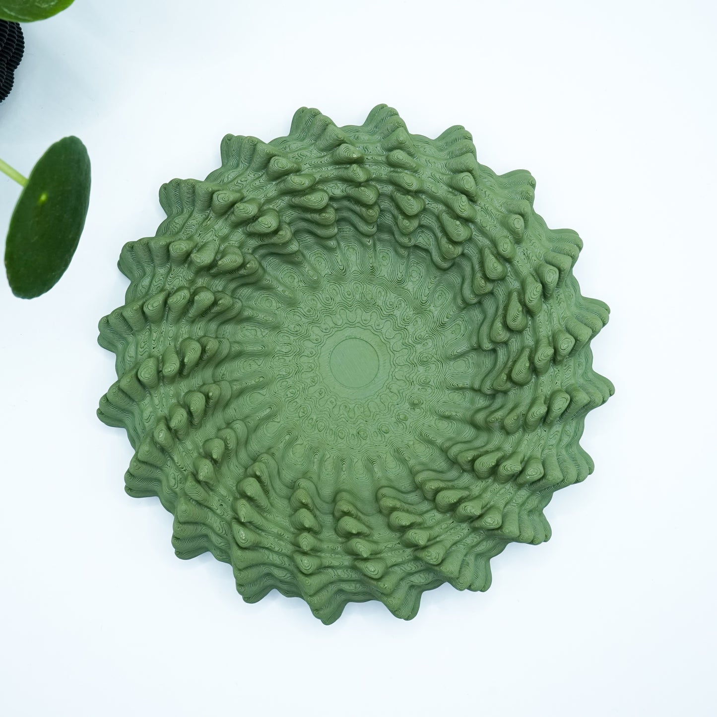 Heliopra Schale in Korallen Design