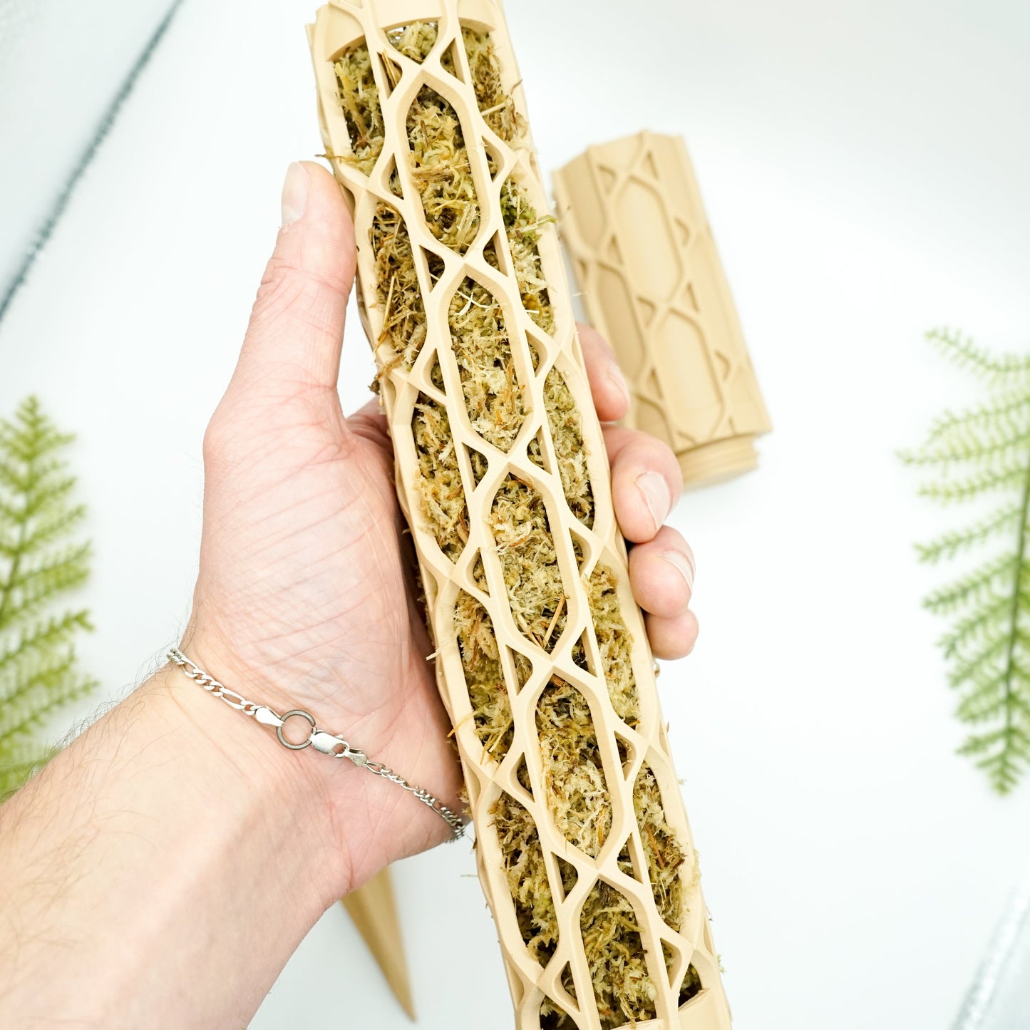 Nexus Moosstab Set, Rankhilfe für Zimmerpflanzen MeltingMatter