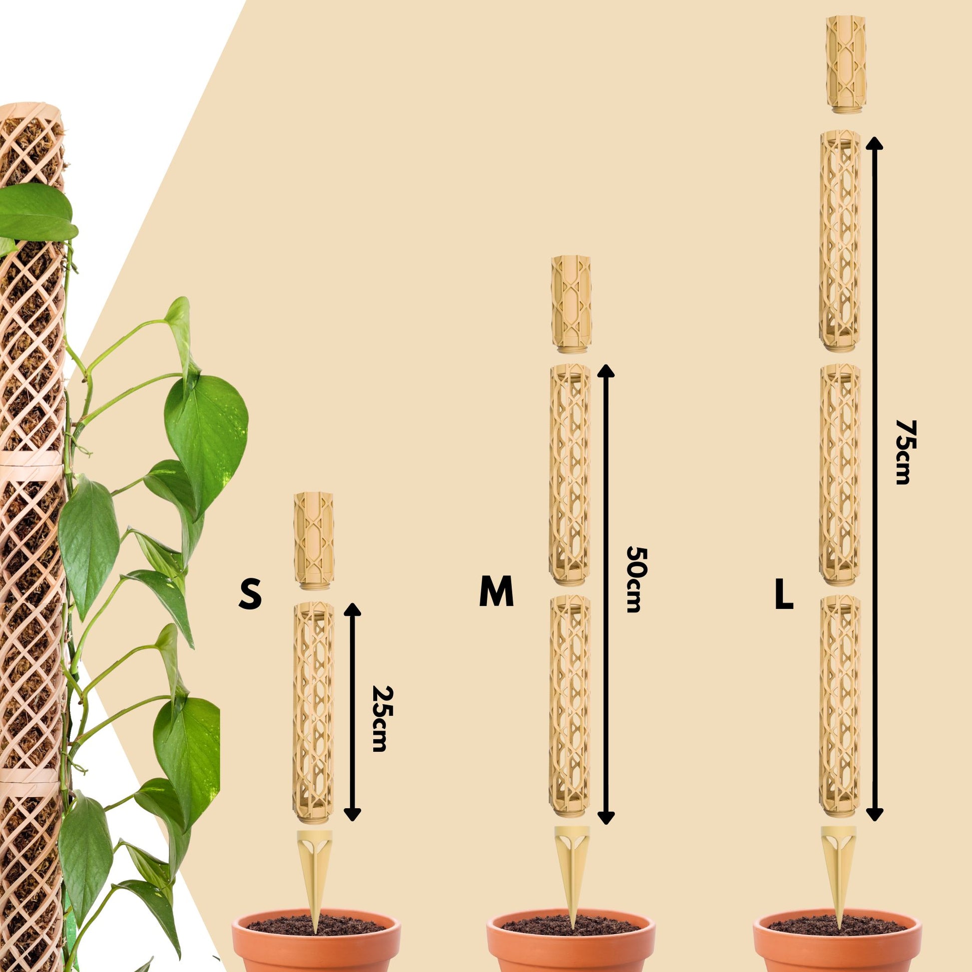 Nexus Moosstab Set, Rankhilfe für Zimmerpflanzen MeltingMatter