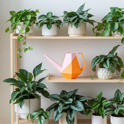 Die zweifarbige Poly Gießkanne ist ein dekorativer Hingucker für deine Zimmerpflanzen. Die Designer Gießkanne wird aus Biokunsstoff und mit dem 3D-Druckverfahren hergestellt. Sie eignet sich perfekt für die Bewässerung und Pflege von Zimmerpflanzen.